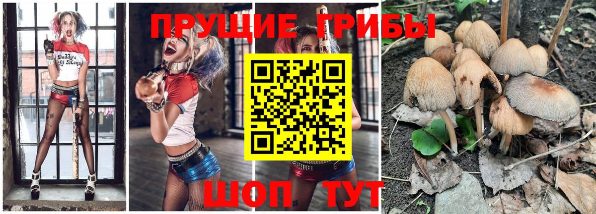 Камышин  Псилоцибиновые грибы ЛСД  Псилоцибиновые грибы Cubensis  Вход с VPN 
