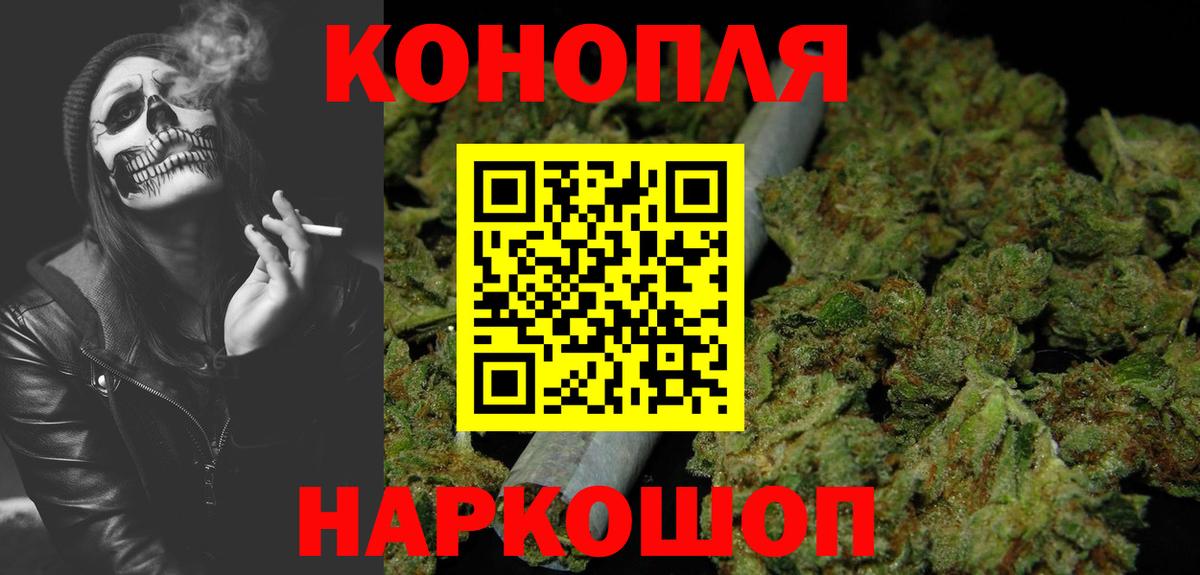 Камышин  МАРИХУАНА план  Вход с VPN  Каннабис Ganja  Бошки марихуана сатива 